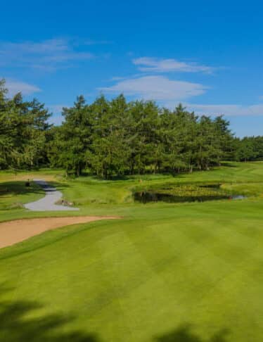 Massereene Golf Course, Co_Web Size